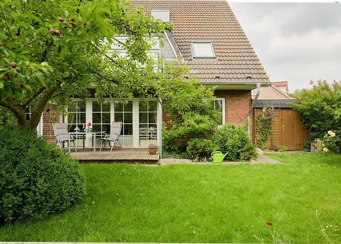 Holunderbusch * Schönberg in Holstein